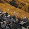Panoramic photography